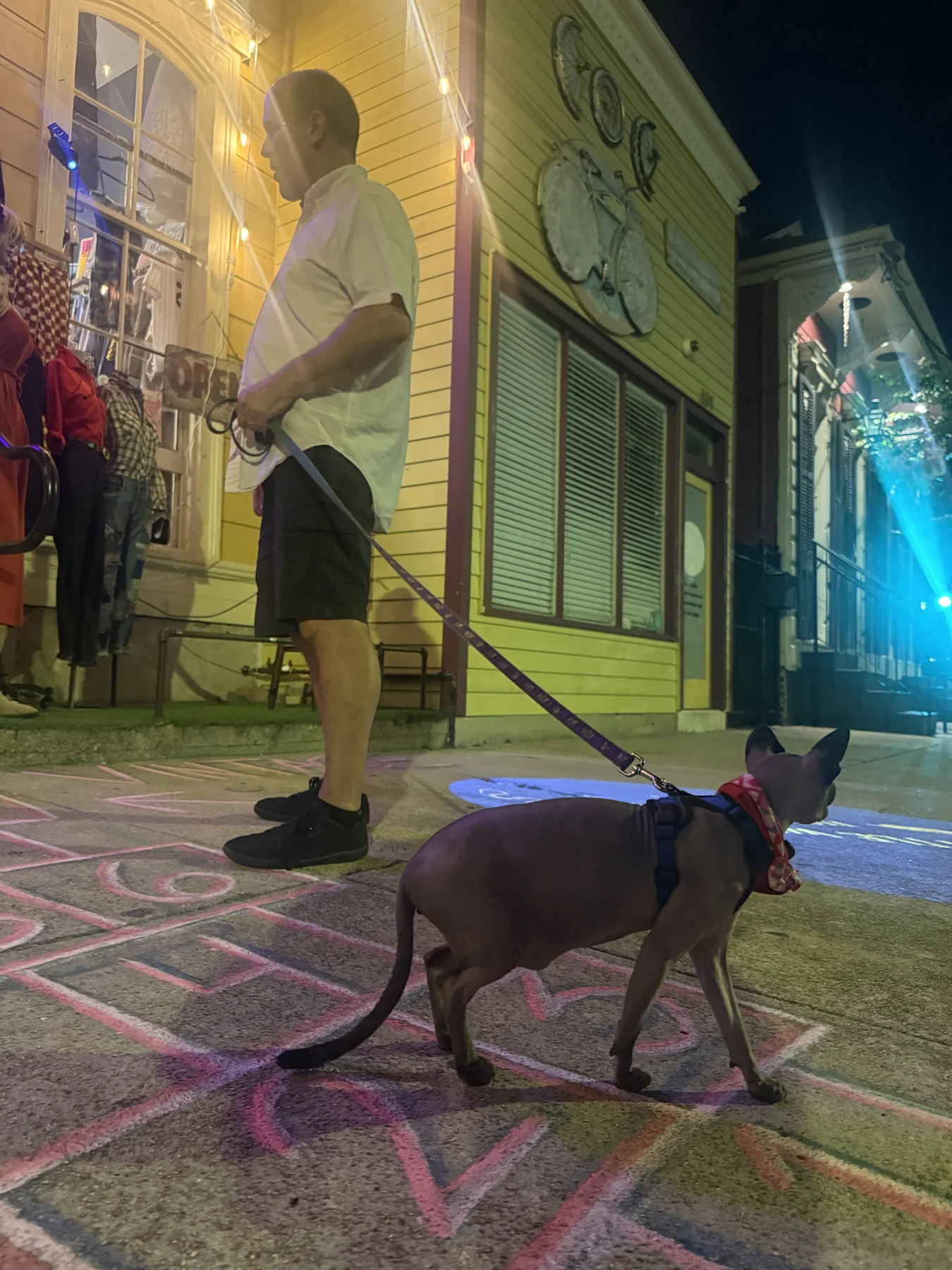 Harry walking on a leash across a chalk-marked sidewalk outside a brightly painted building at night